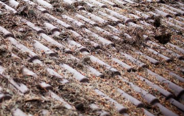 Selly Hill roof cleaning companies